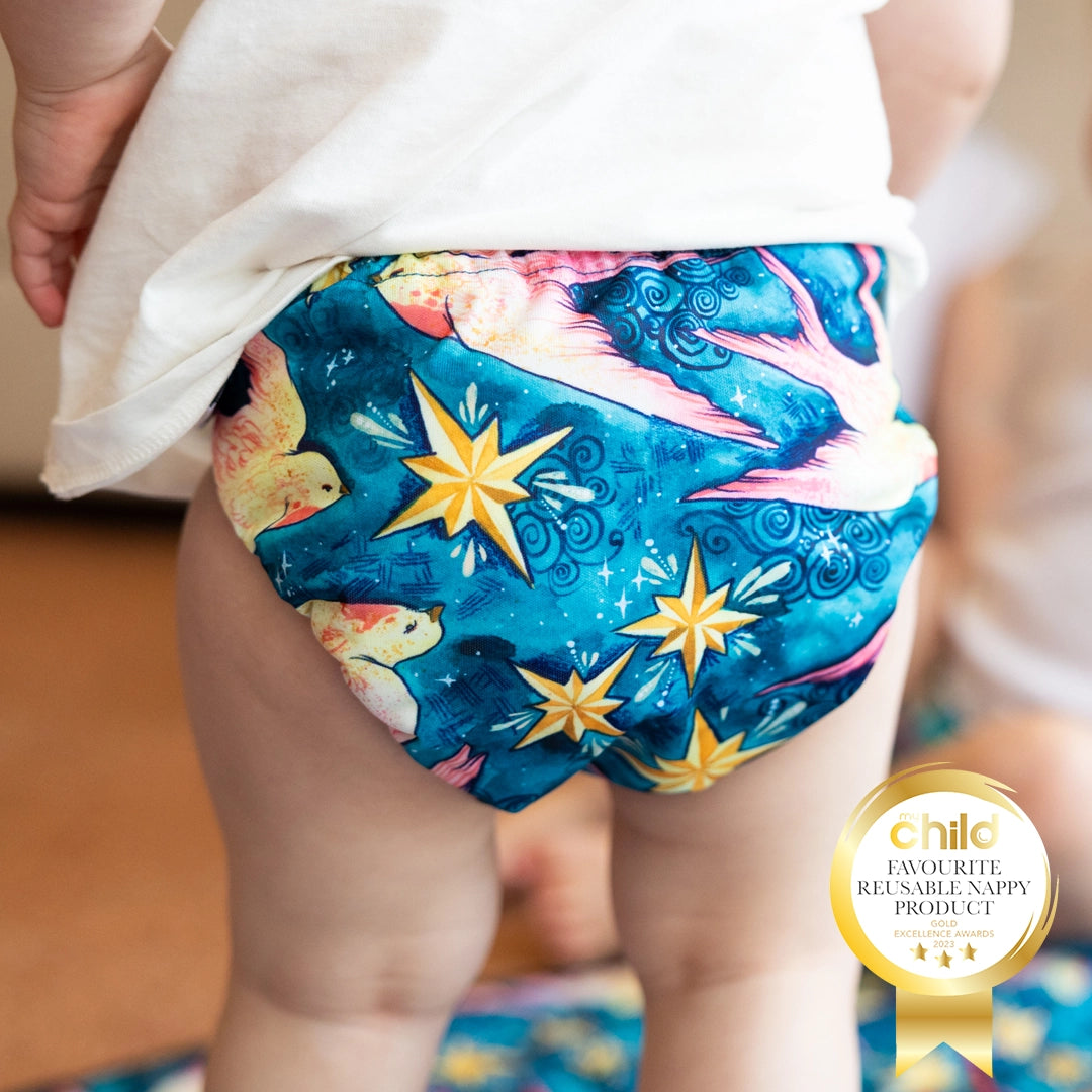 Star Swallows Reusable Cloth Nappy
