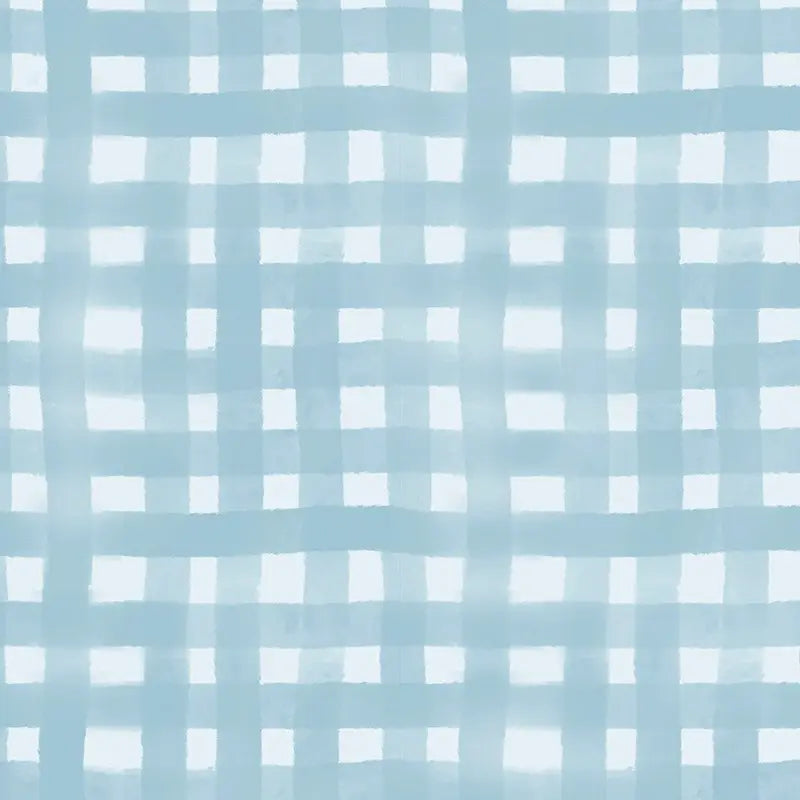 Baby Blue Cloth Wipes