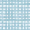 Baby Blue Swaddle
