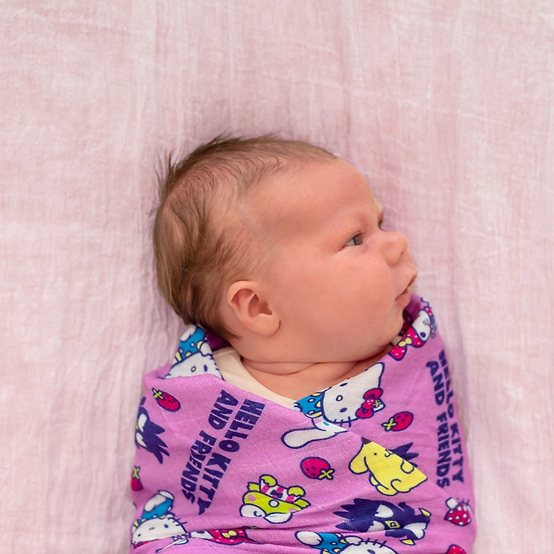 Strawberry Friends Swaddle