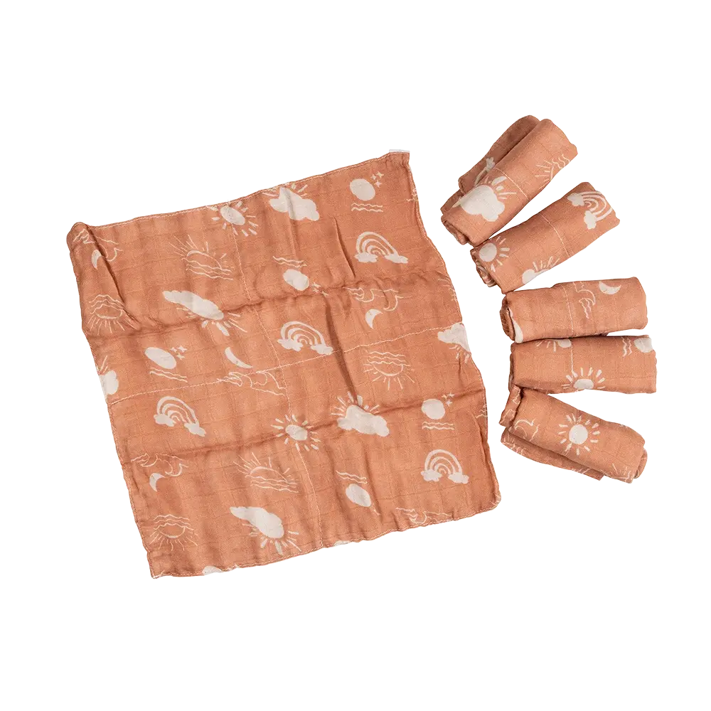 Terracotta Haze Cloth Wipes