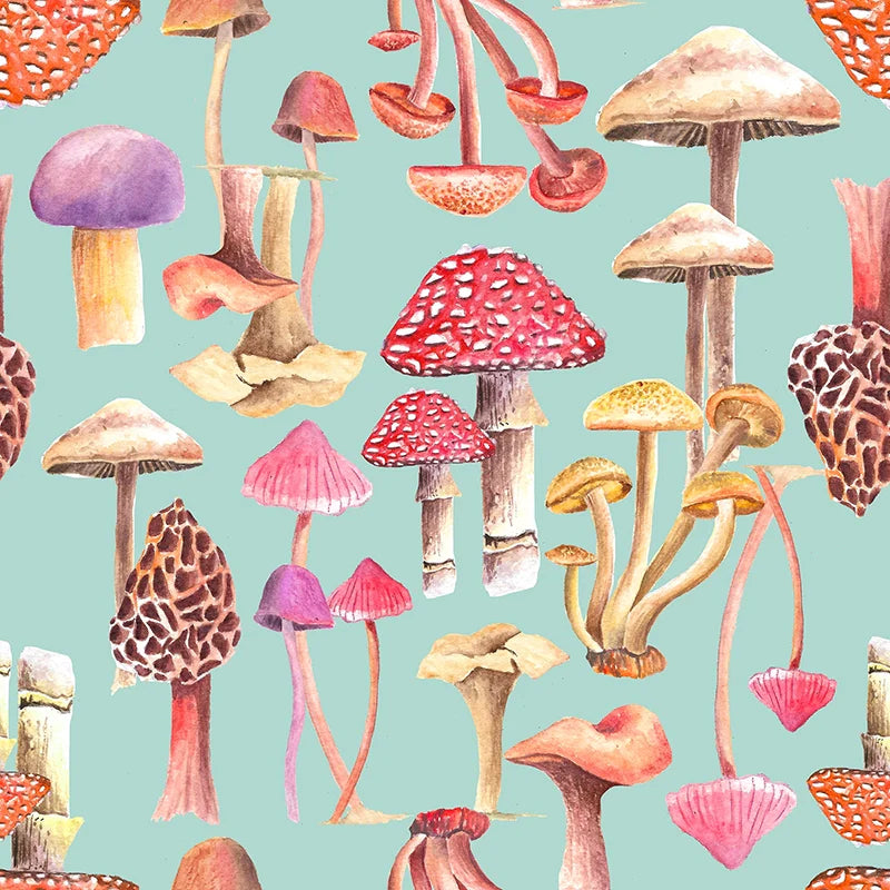 Mushroom Magic Play Mat Large