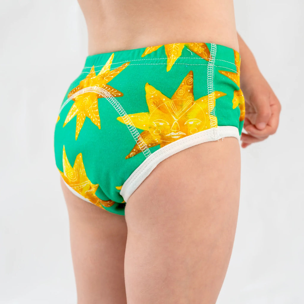 Reusable Toilet Training Underpants